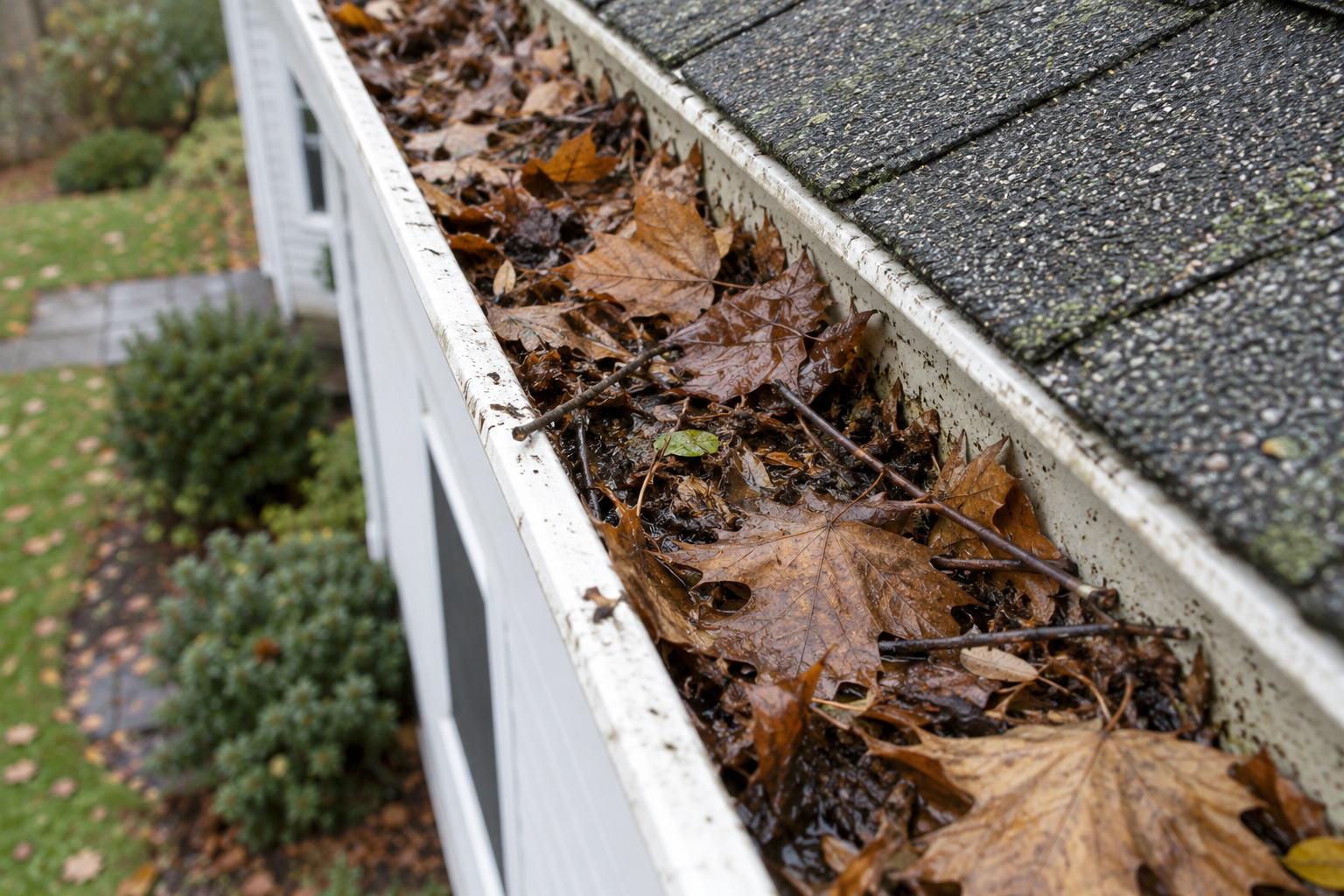 Wet leaves and twigs blocking the channel of a white gutter